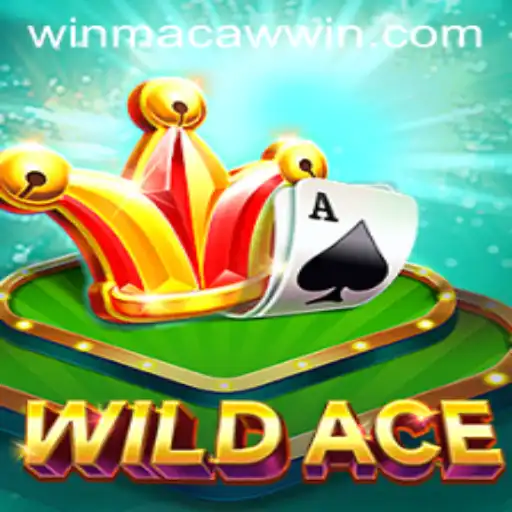 MACAWWIN Casino App